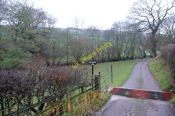 Photo 6"x4" Driveway to New House Pentiken c2009