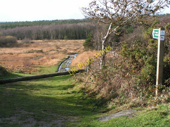 Photo 6"x4" Footpath into Hawkerland Valley Goosemoor\/SY0689 c2009