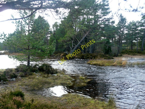 Photo 6"x4" Flooded burn at Glenmore Reindeer Ho c2009