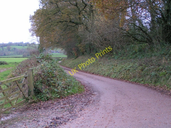 Photo 6"x4" Lane next to the Grand Western Canal Halberton c2009