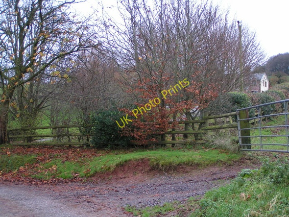 Photo 6"x4" House behind trees Manley\/SS9811 c2009