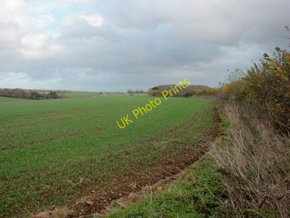 Photo 6"x4" 2009 : Field of autumn sown wheat Radstock c2009