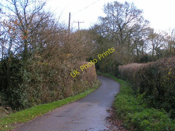 Photo 6"x4" Lane to Woodbury castle Woodbury\/SY0187 c2009