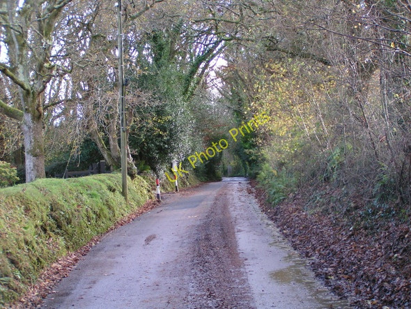 Photo 6"x4" Sanctuary Lane Hawkerland c2009