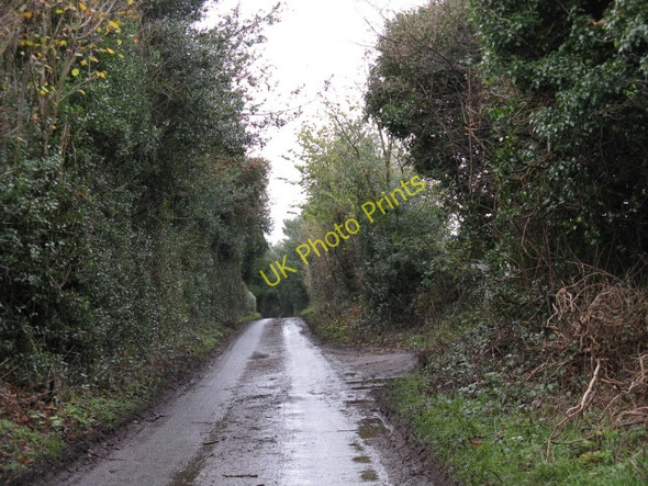 Photo 6"x4" Field Lane, Catherine-de-Barnes Solihull c2009
