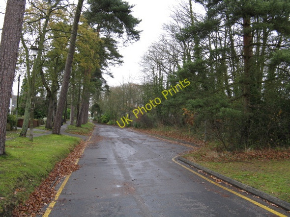 Photo 6"x4" Solihull - Old Warwick Road Solihull c2009