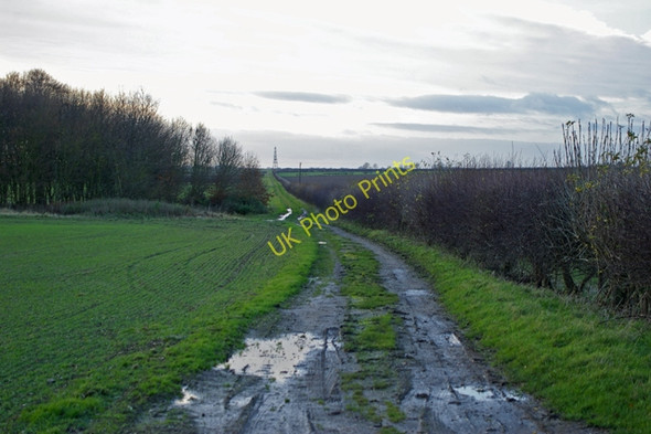 Photo 6"x4" Track near Dunkirk Farm Wootton\/TA0816 c2009