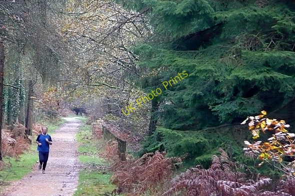 Photo 6"x4" Former railway line Brierley\/SO6215 c2009