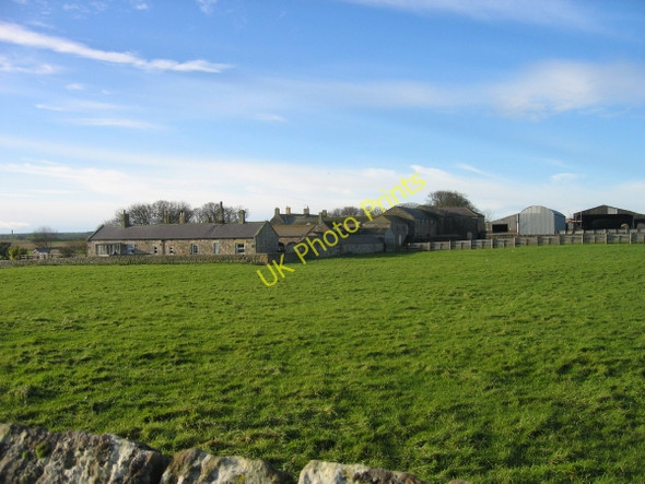 Photo 6"x4" Boulmer Hall Farm Boulmer c2009