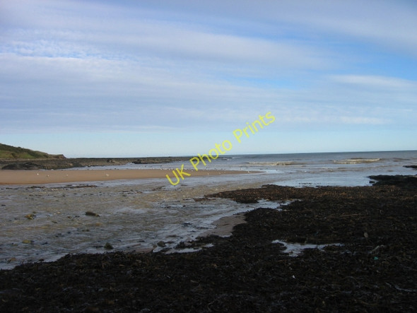 Photo 6"x4" Howick Burn meeats the sea at Iron Scars Howick\/NU2517 c2009