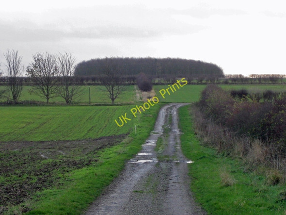 Photo 6"x4" Farm Track near Howe Hill, Wootton Wootton\/TA0816 c2009