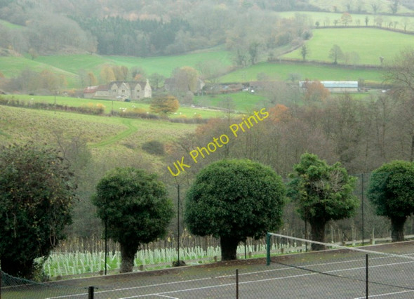 Photo 6"x4" 2009 : Is this St. Catherine's Court? St Catherine c2009