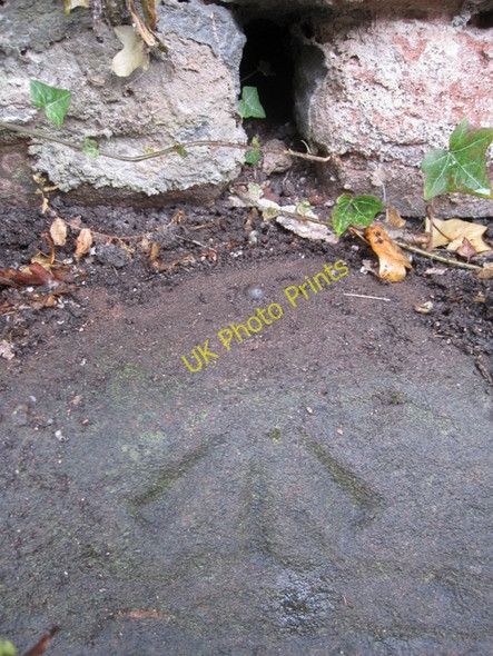 Photo 6"x4" Rivet bench mark in Greenway Street, Handbridge Chester c2009