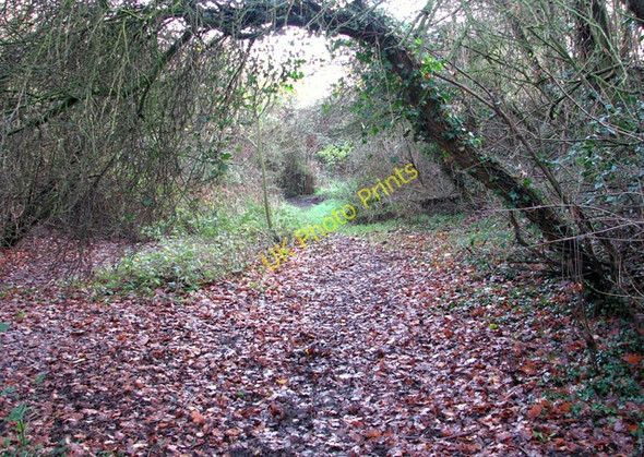 Photo 6"x4" Trains once used to run along here Wreningham c2009