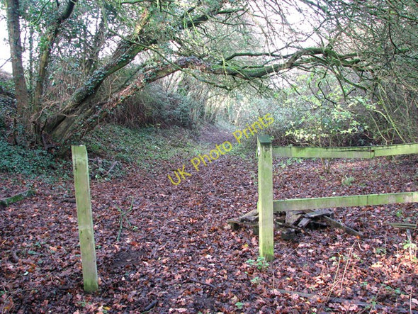 Photo 6"x4" End of the path along the old railway cutting Wreningham c2009
