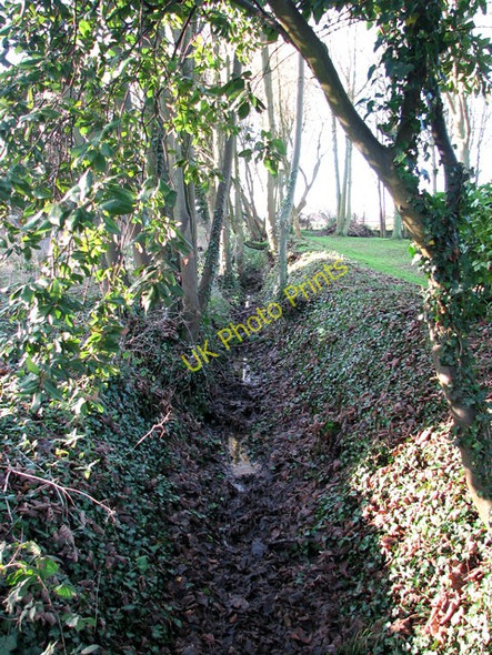 Photo 6"x4" Ditch north of All Saints church Ashwellthorpe c2009