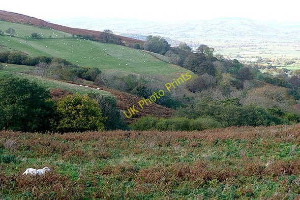 Photo 6"x4" Towards Little London Little London\/SO0489 c2009