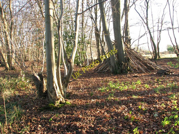 Photo 6"x4" Lower Wood Nature Reserve - a shelter made of tree stems Ashwellthorpe c2009