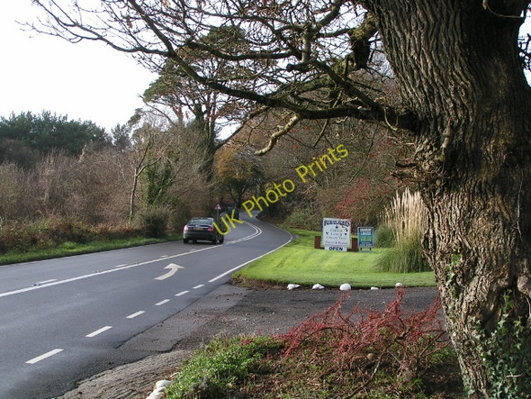 Photo 6"x4" Passing Popplefords tea room Goosemoor\/SY0689 c2009