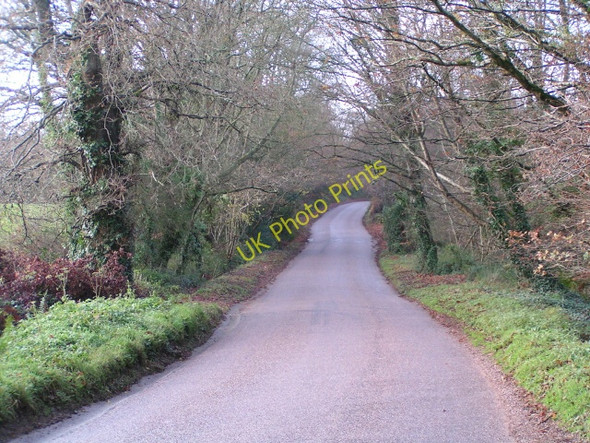 Photo 6"x4" Road towards Exeter Yettington c2009