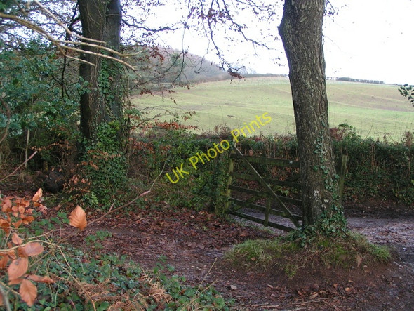 Photo 6"x4" A field a gate and a track Yettington c2009
