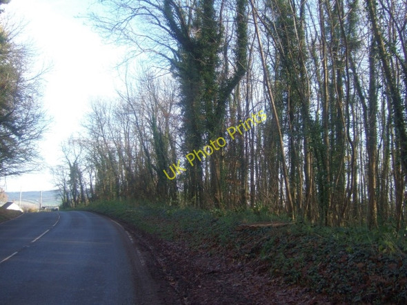 Photo 6"x4" A3072 passing through woods near Shobrooke Crediton c2009