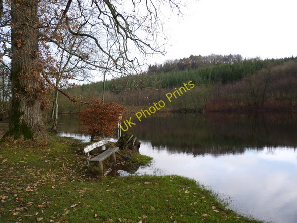 Photo 6"x4" The Dromore river \u00e2\u0080\u0093 waterway and estate boundary Cootehill c2009