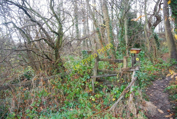 Photo 6"x4" Stile entering the woodland Fordwich c2009