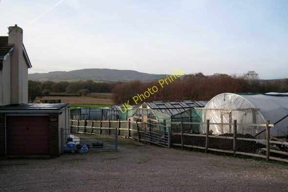 Photo 6"x4" Smallholding by A379 south of Cofton Cross Cofton c2009
