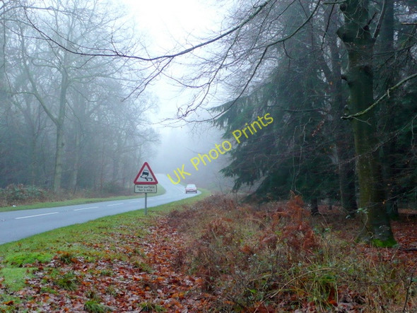 Photo 6"x4" Speech House Road Cannop c2009