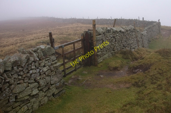 Photo 6"x4" Gate at High Dolphinsty Shoregill c2009