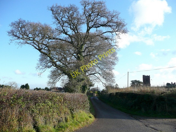 Photo 6"x4" Lane to Dodington Dodington\/ST1740 c2009