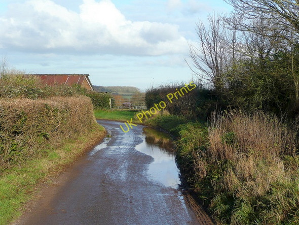 Photo 6"x4" Lane to Dyche and Stringston Dodington\/ST1740 c2009