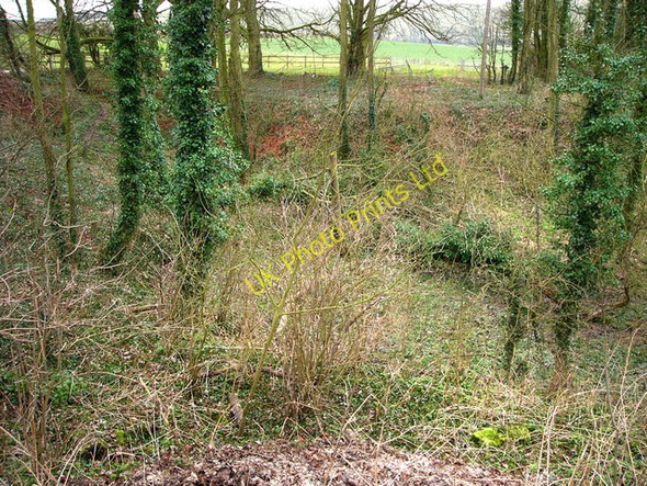 Photo 6"x4" Source of the River Meon Coombe\/SU6620 c2008