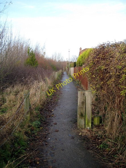 Photo 6"x4" Lofthouse Colliery Nature Park Tour (31) Carr Gate c2009