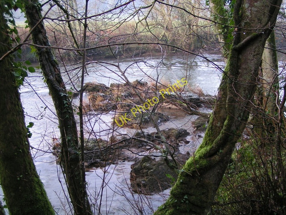 Photo 6"x4" River Exe next to Back Woods on the Exe Valley Way Collipriest c2009