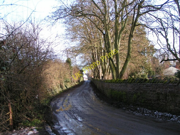Photo 6"x4" Huntington Lane heading east Huntington\/SO4841 c2009