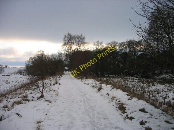 Photo 6"x4" South Tyne Trail near Featherstone Rowfoot c2009