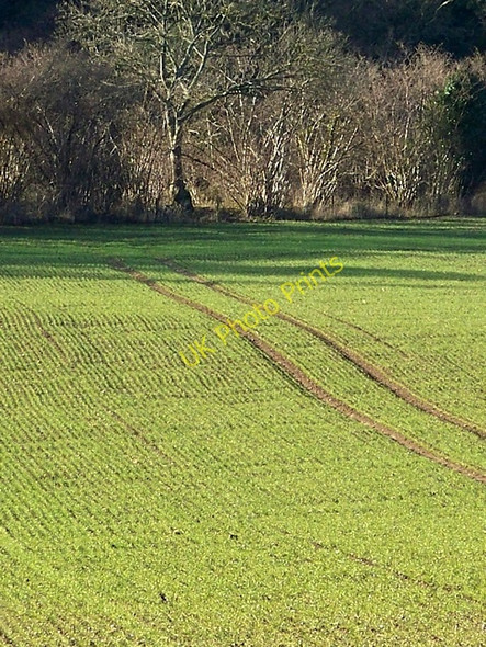 Photo 6"x4" Tramlines near Tincleton Tincleton c2009