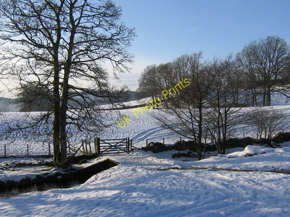 Photo 6"x4" Farm track between Near and Far Sawrey Far Sawrey c2009