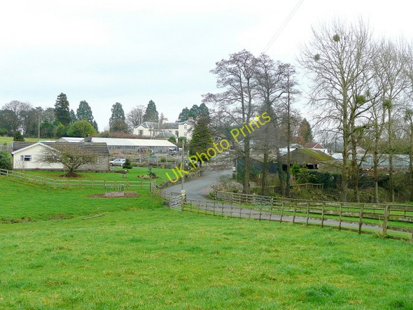 Photo 6"x4" Nantyderry Nurseries Goetre\/SO3205 c2009