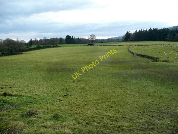 Photo 6"x4" Pasture west of the A4042 Pencroesoped c2009