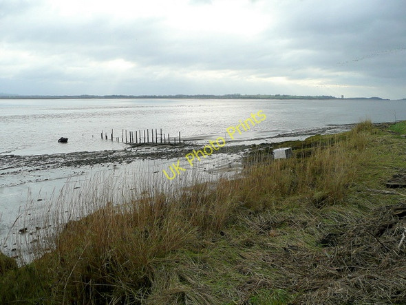 Photo 6"x4" North bank of the Severn Awre c2009
