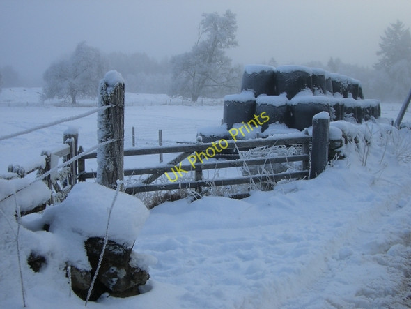 Photo 6"x4" Bales and gate at Achany Gruids c2009