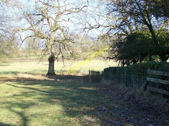 Photo 6"x4" Footpath, East Cranmore East Cranmore c2010