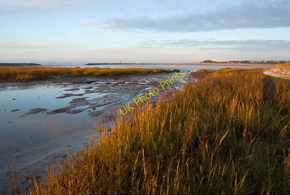 Photo 6"x4" Paull Holme Strays Paull c2010