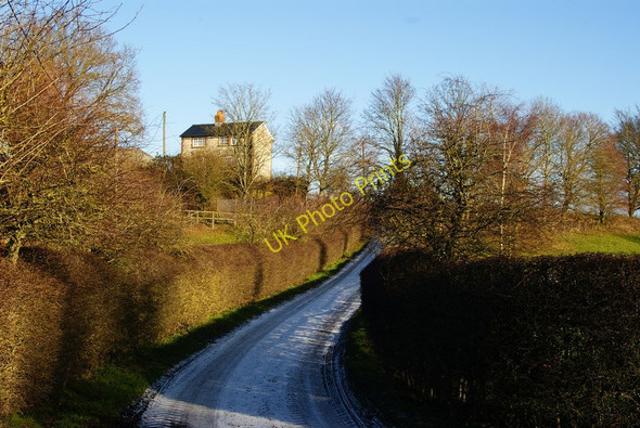 Photo 6"x4" The Lane to Froyle Mill Farm Isington c2010