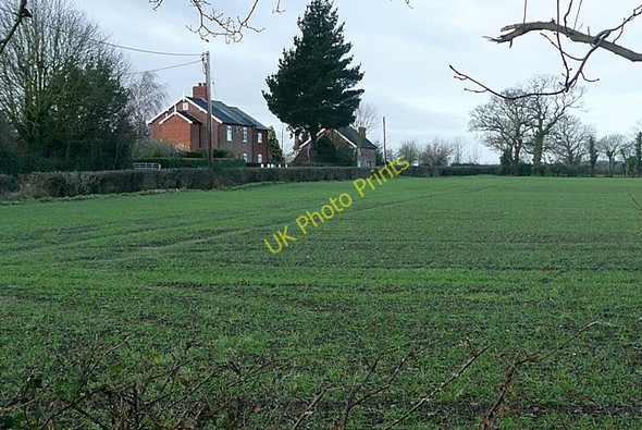 Photo 6"x4" Along Walpole Lane Walpole\/TM3674 c2009