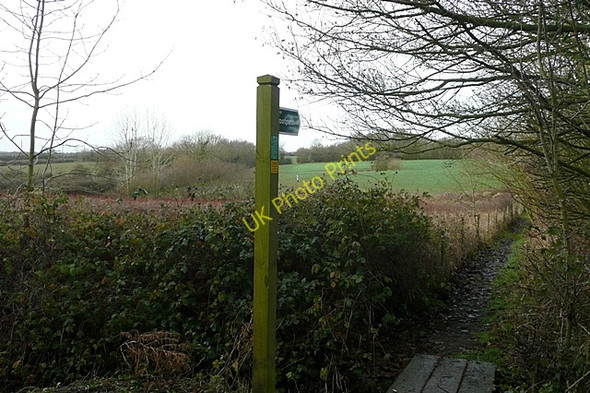 Photo 6"x4" Footpath to Chediston Green Chediston Green c2009