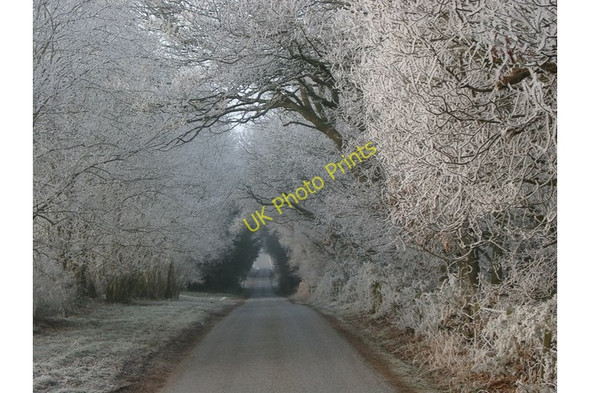 Photo 6"x4" Frosted trees in winter, Lochloy Road, near Nairn Kingsteps c2008